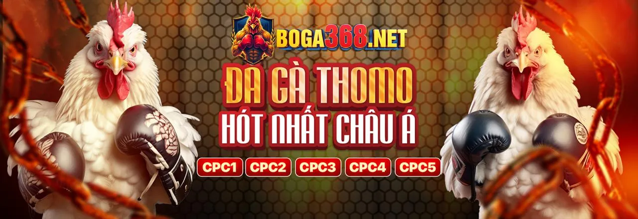 Đá Gà Trực Tiếp VZ99